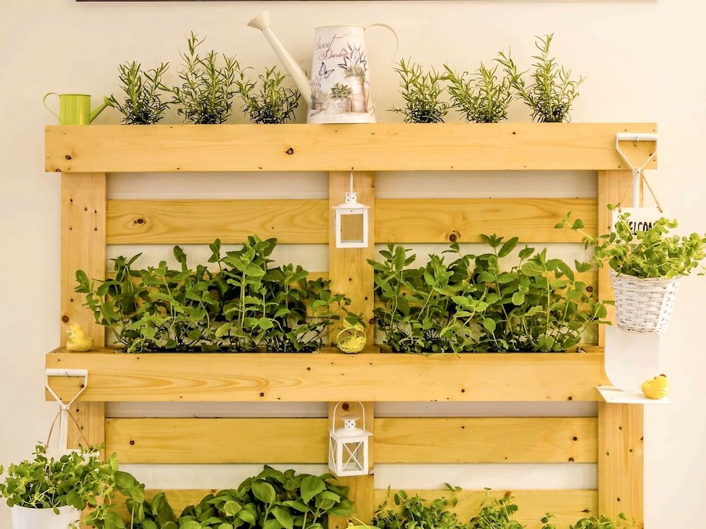 Фото Ibis Порту Центро Сан-Бенту