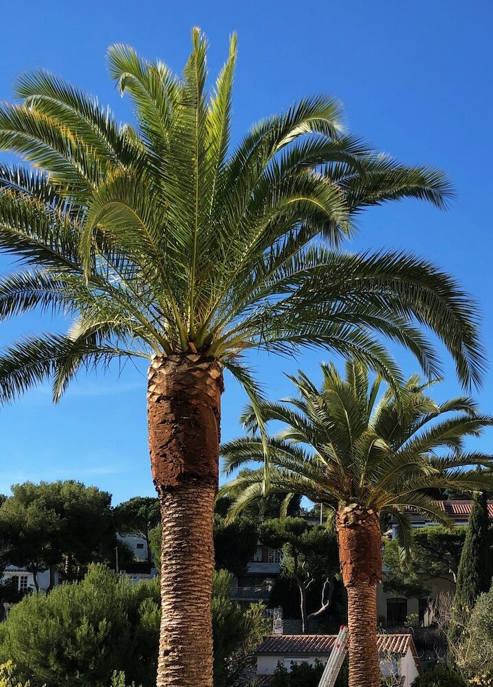 Фото The Address