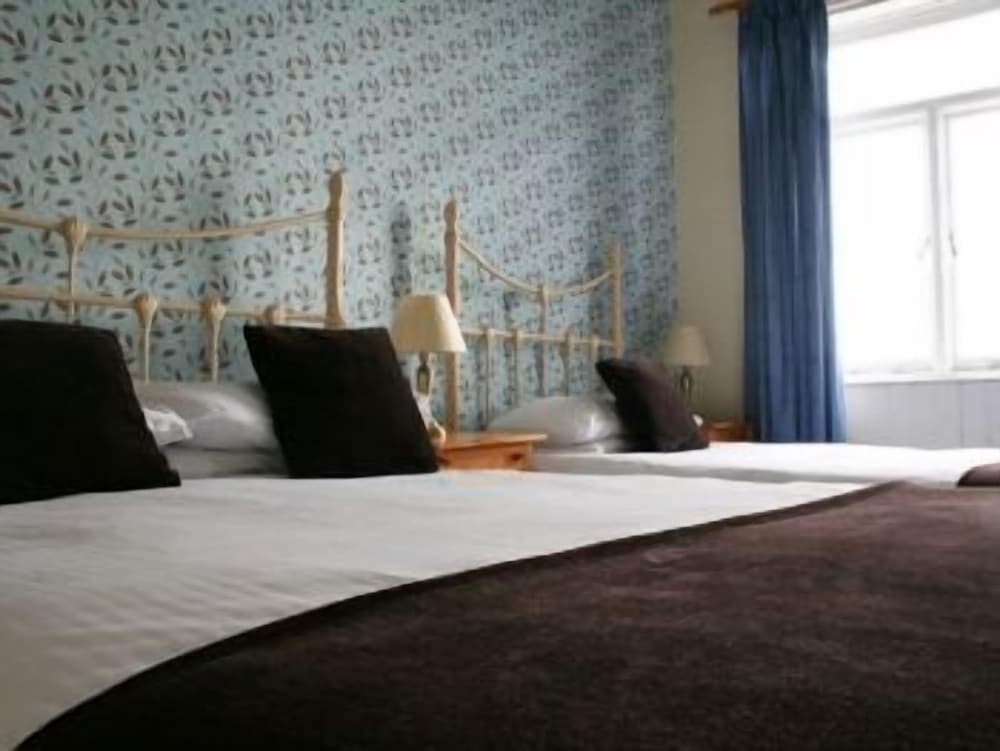 Фото Alexander's