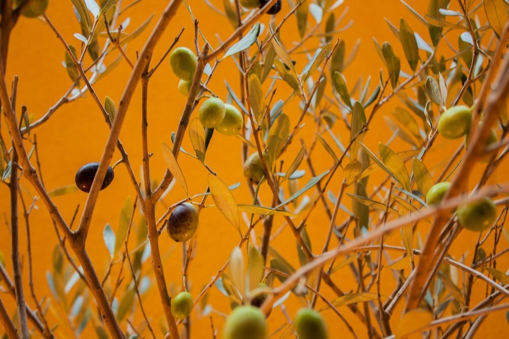 Фото L'Adresse Hotel Boutique