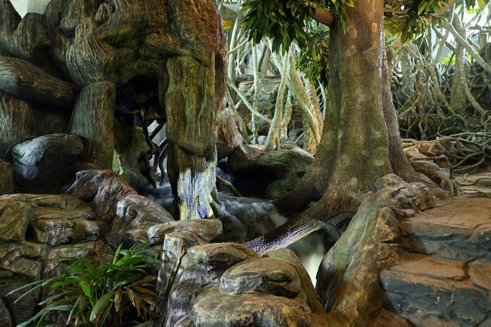 Фото Chandys Windy Woods