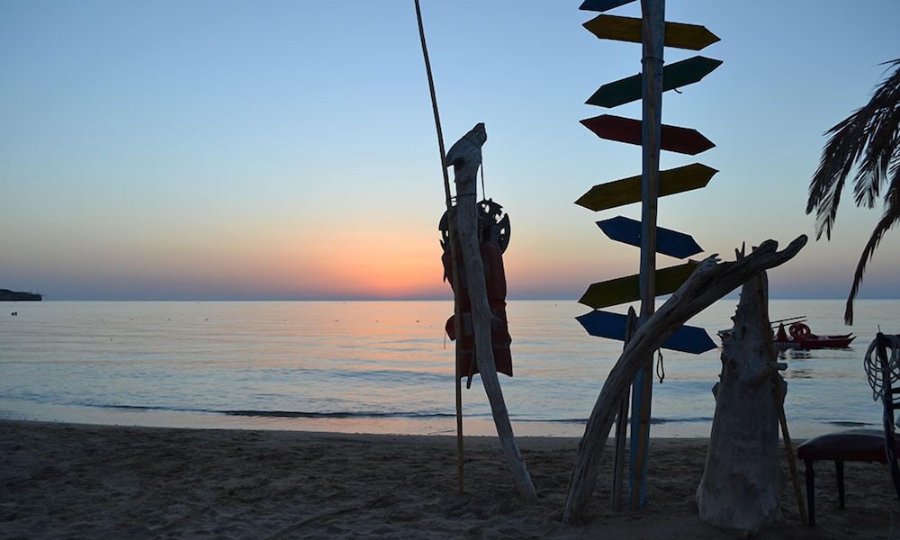 Фото Hotel Orchidea