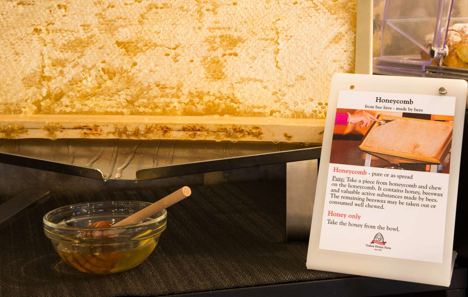 Фото Best Western Plus Chc Florence