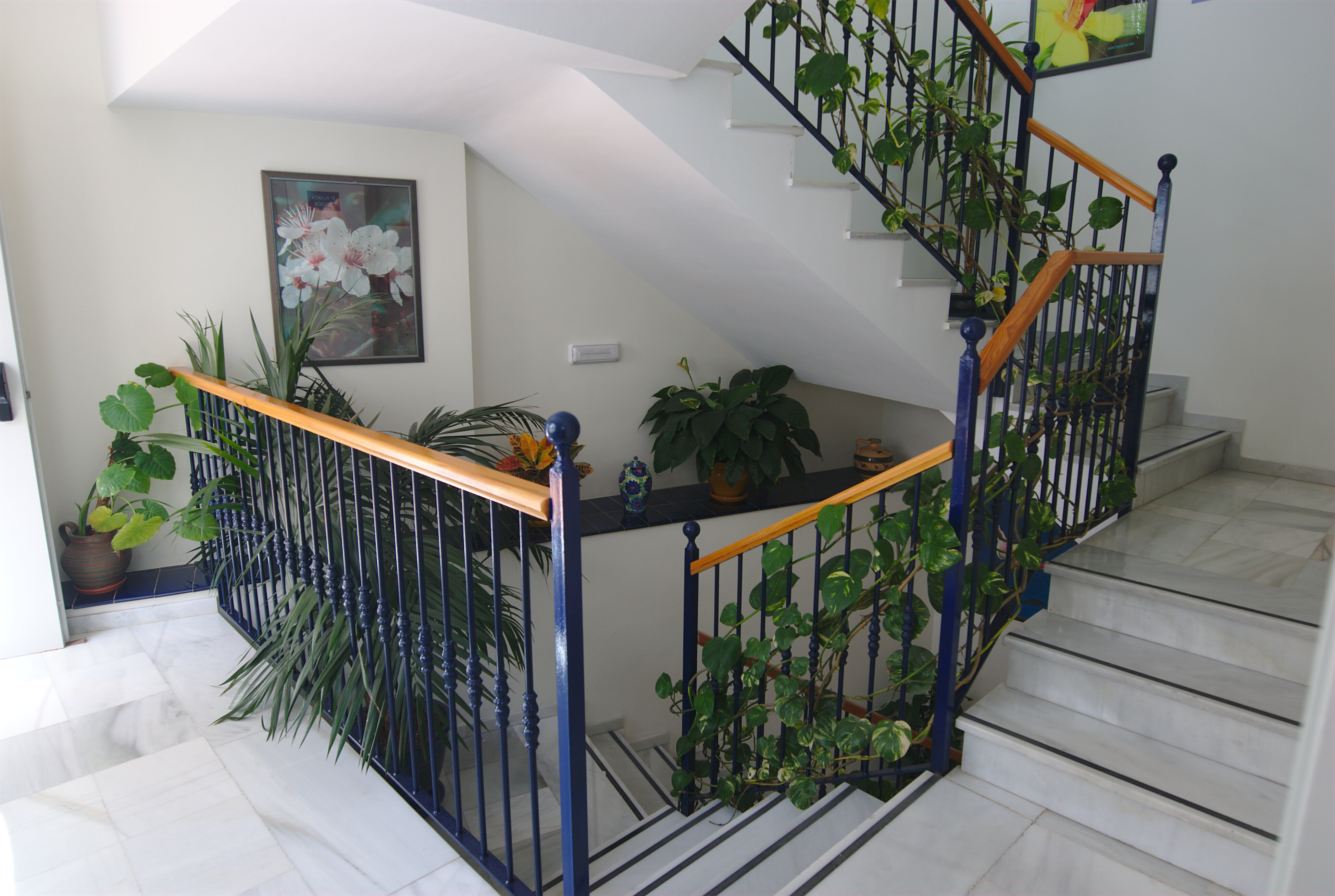 Фото Puerta del Mar