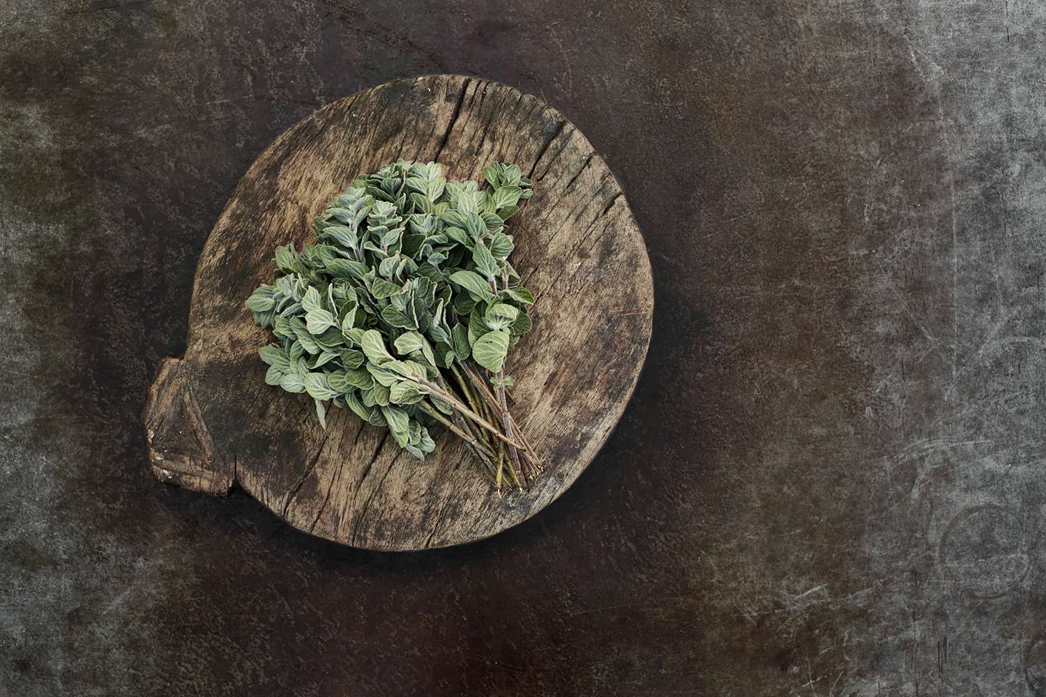 Фото Backstage Hotel