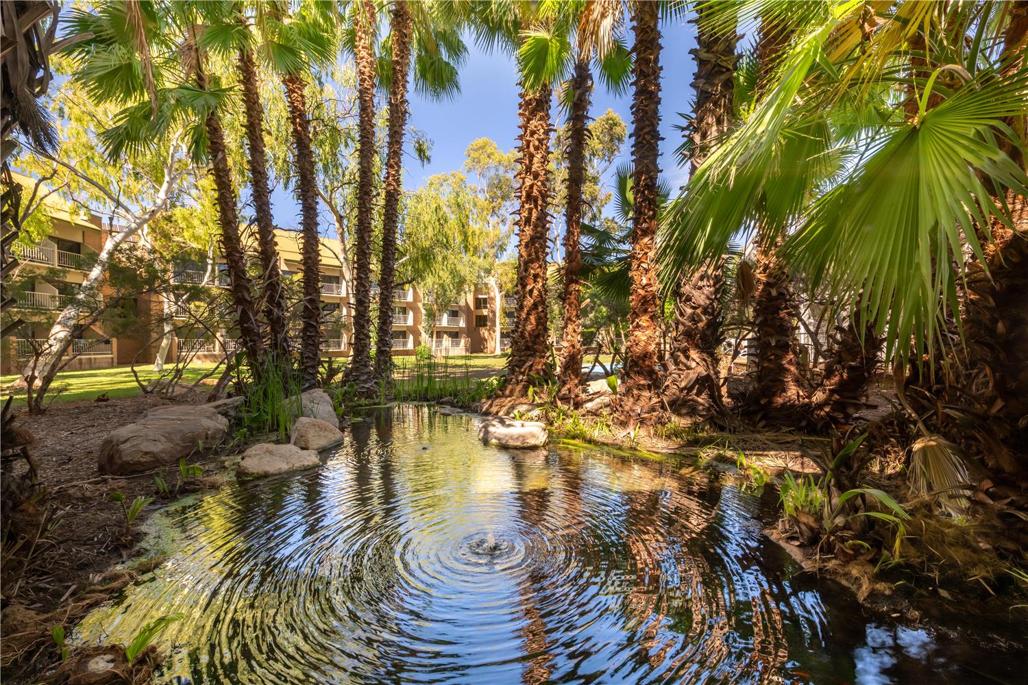 Фото DoubleTree by Hilton Hotel Alice Springs