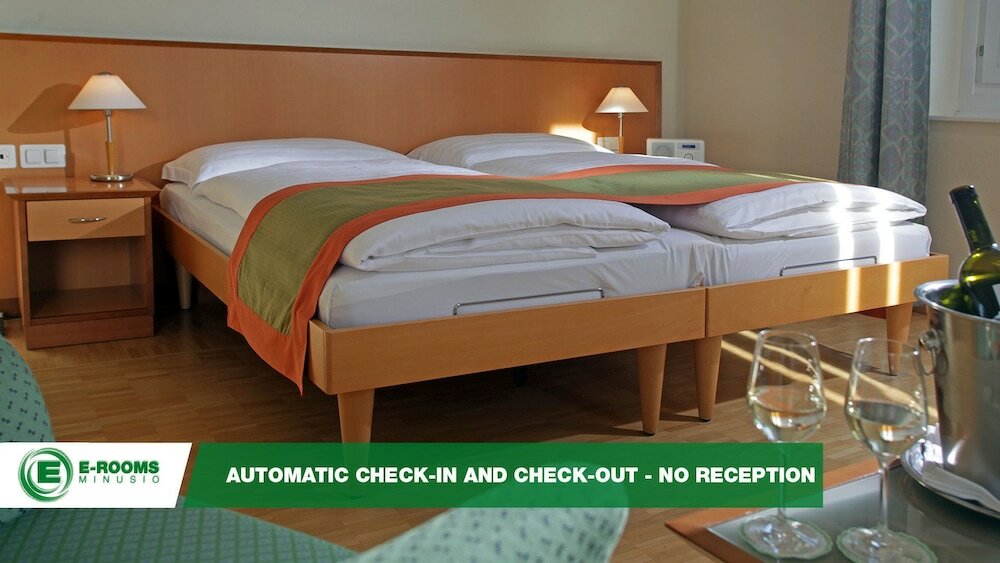 Фото E-Rooms Minusio