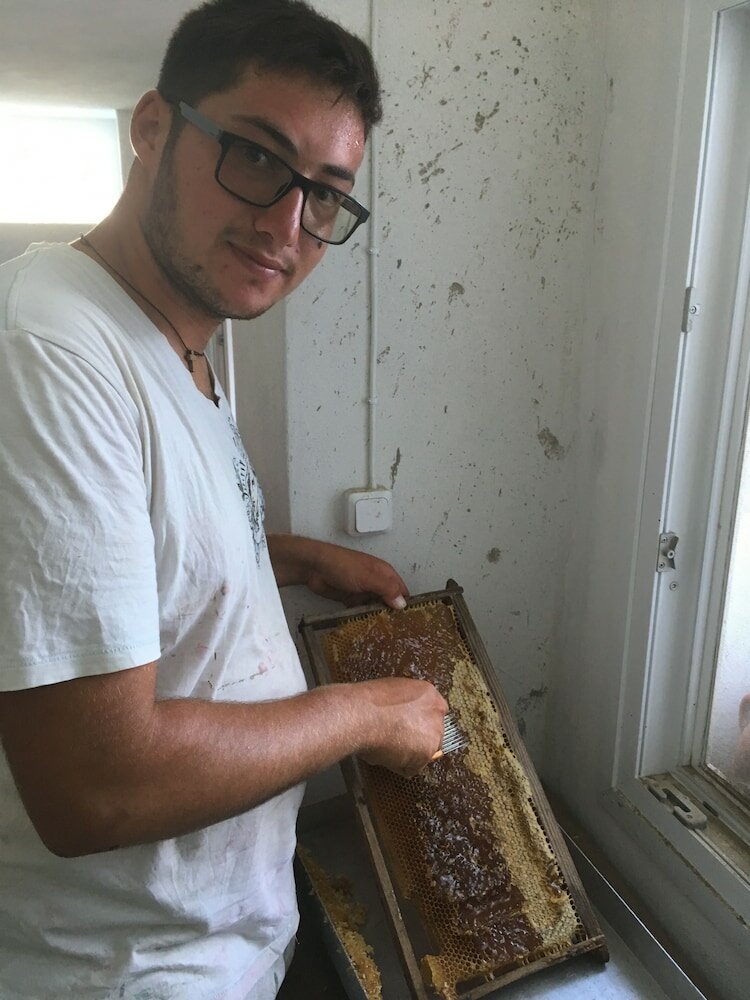 Фото Afrodite Hotel