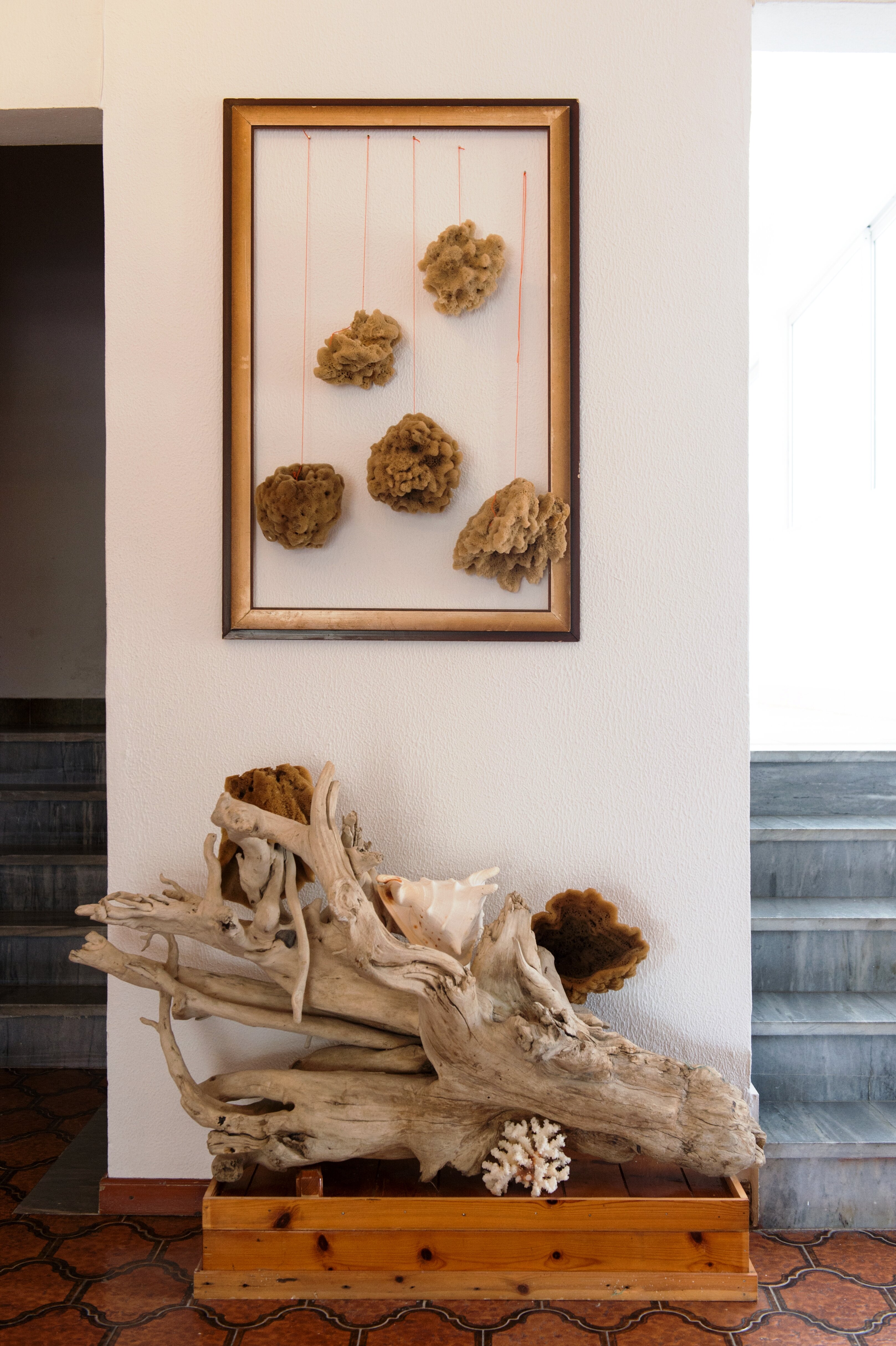 Фото Laura Hotel Kos