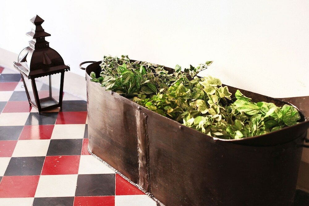 Фото Residenza d'Epoca Palazzo Buonaccorsi