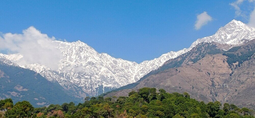 Фото Hotel Vatika