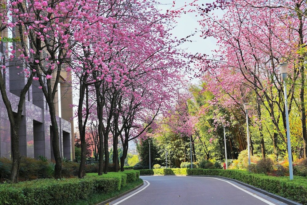 Фото InterContinental Kunming, an Ihg Hotel