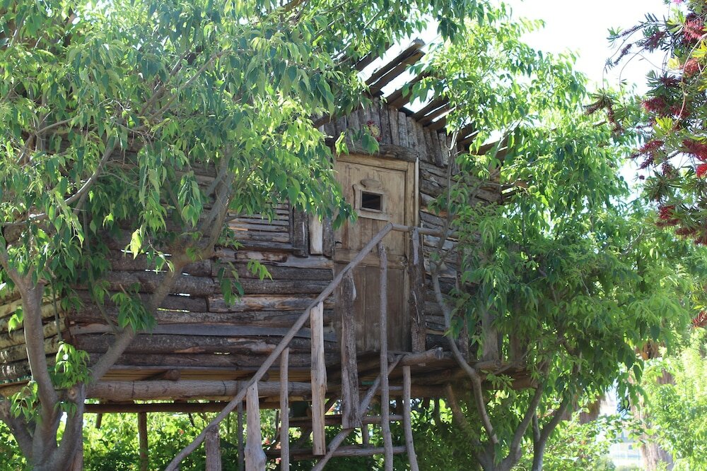 Фото Agriturismo Ruralia