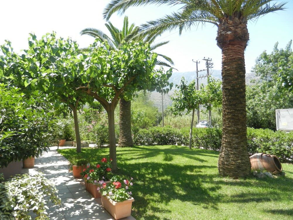 Фото Hotel Athena