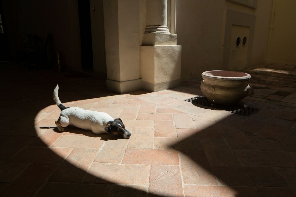 Фото Palazzo Rotati