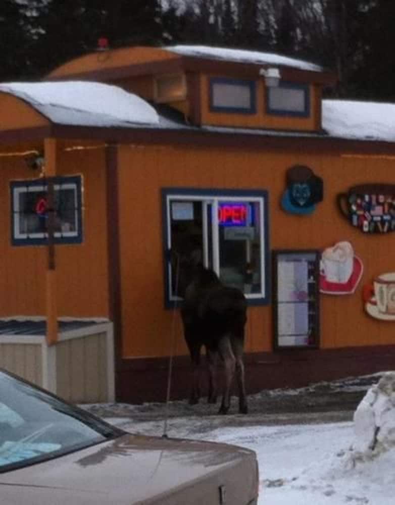 Фото 7 Gables Inn & Suites