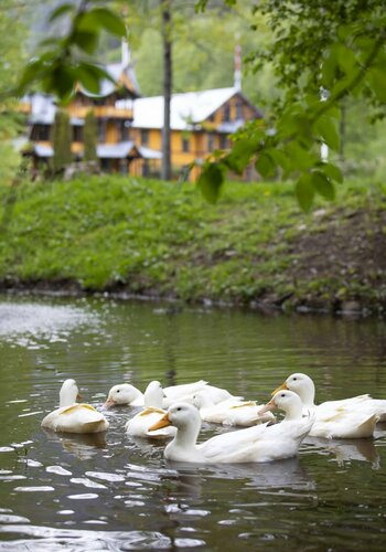 Гостиница Dalen Hotel в Телемарке