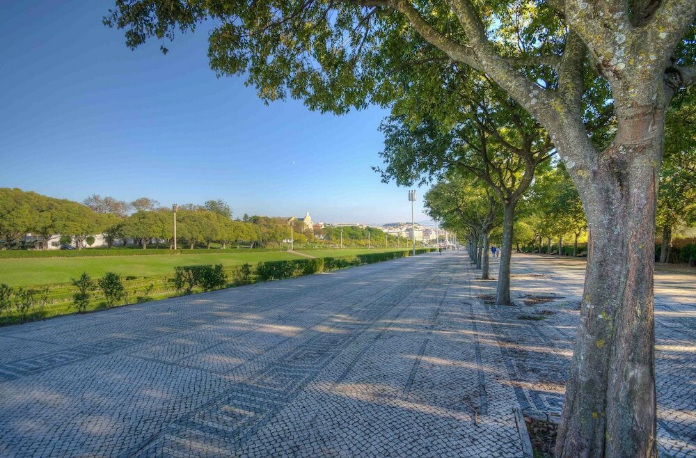 Фото Avenida Park Hotel 