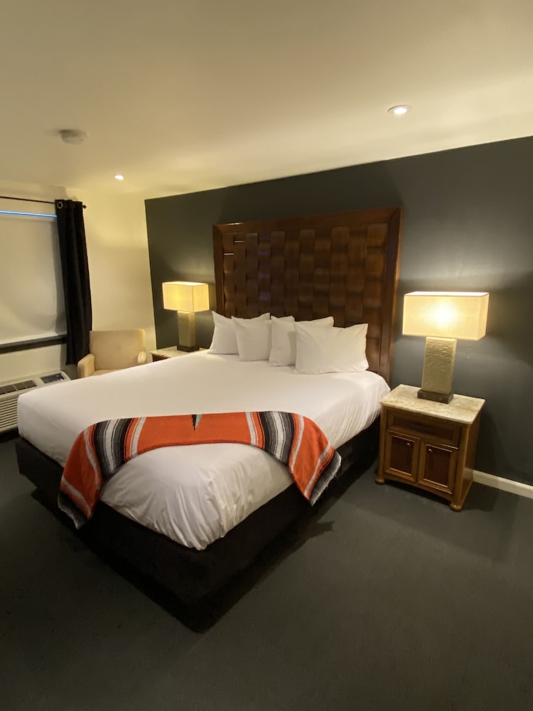 Фото Coyote South