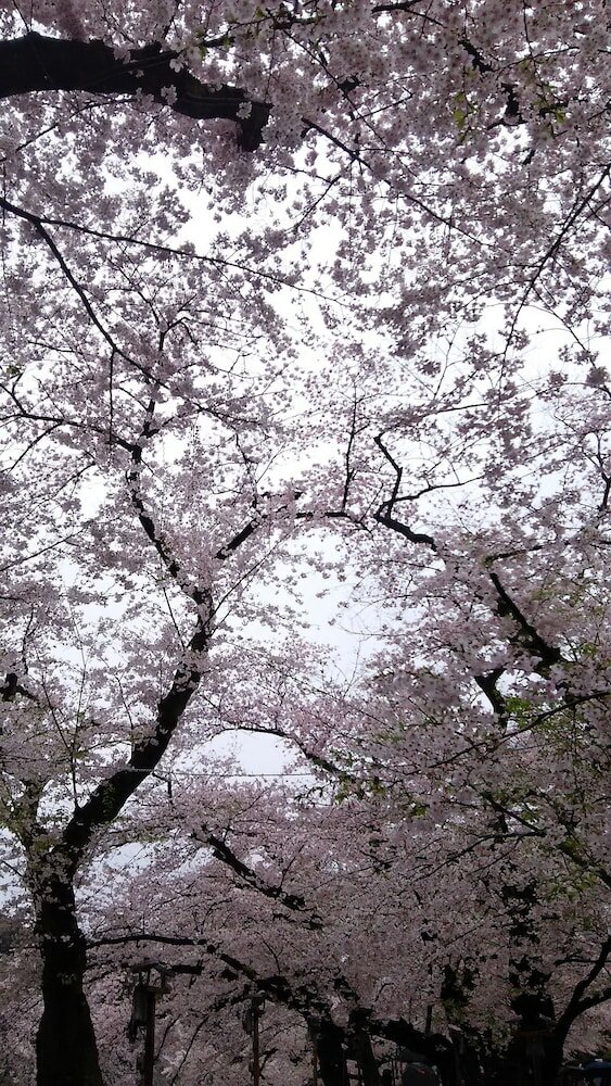 Фото Sotetsu Fresa Inn Ochanomizu-Jimbocho
