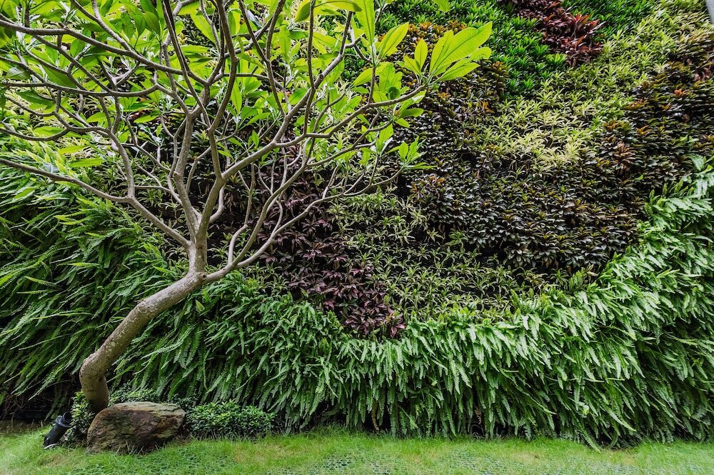 Фото La Vida Hotel