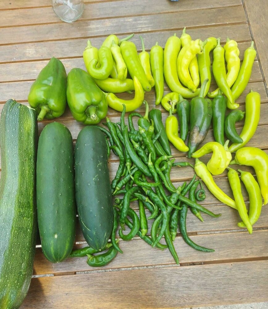 Фото Villa Flowers