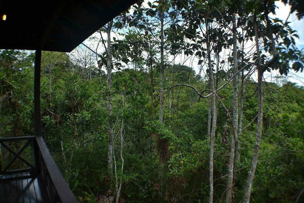 Фото Sepilok Forest Edge Resort