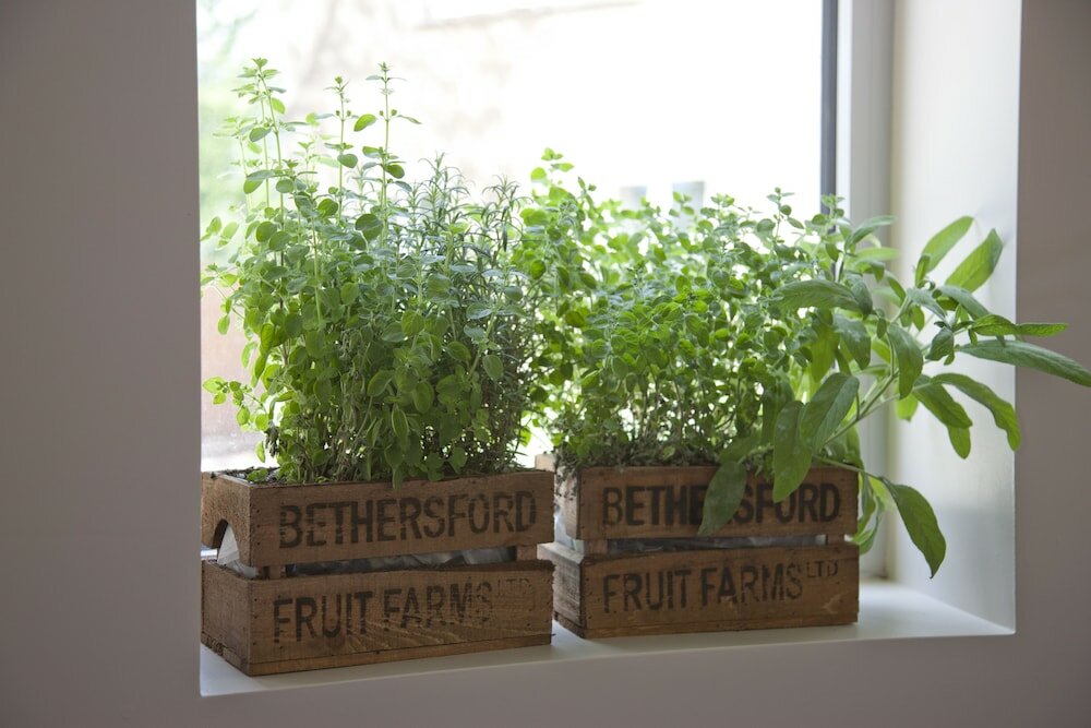 Фото Sudbury House Hotel