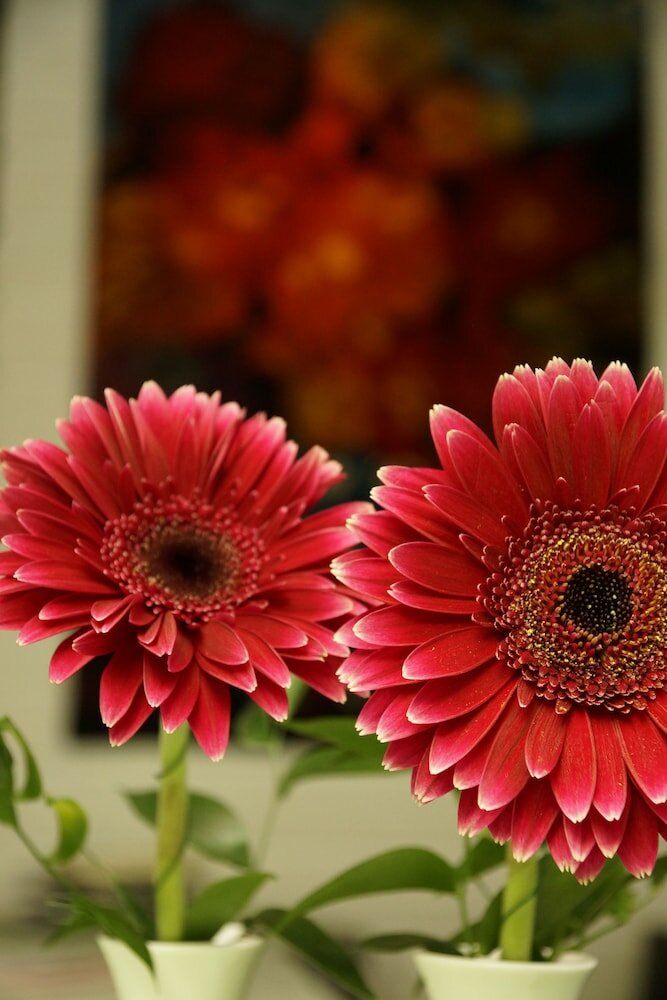 Фото Top Apartments Roth am Strande