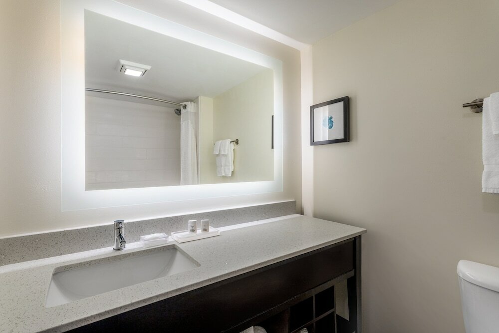 Фото Holiday Inn Tampa North