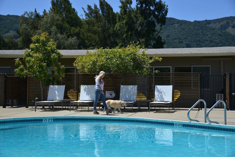 Фото Contenta Inn