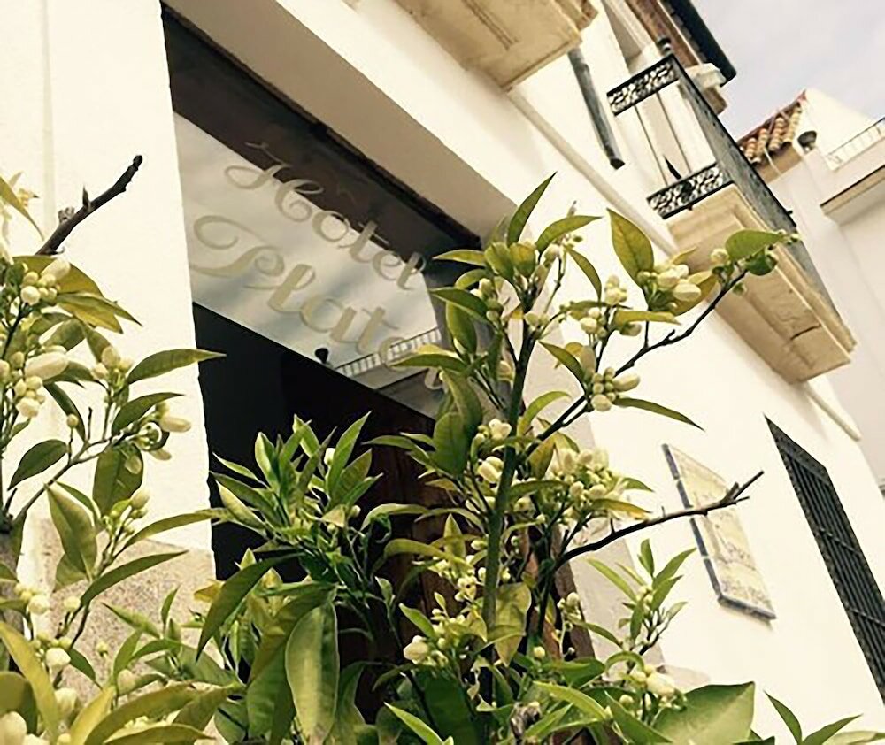 Фото Hotel Plateros