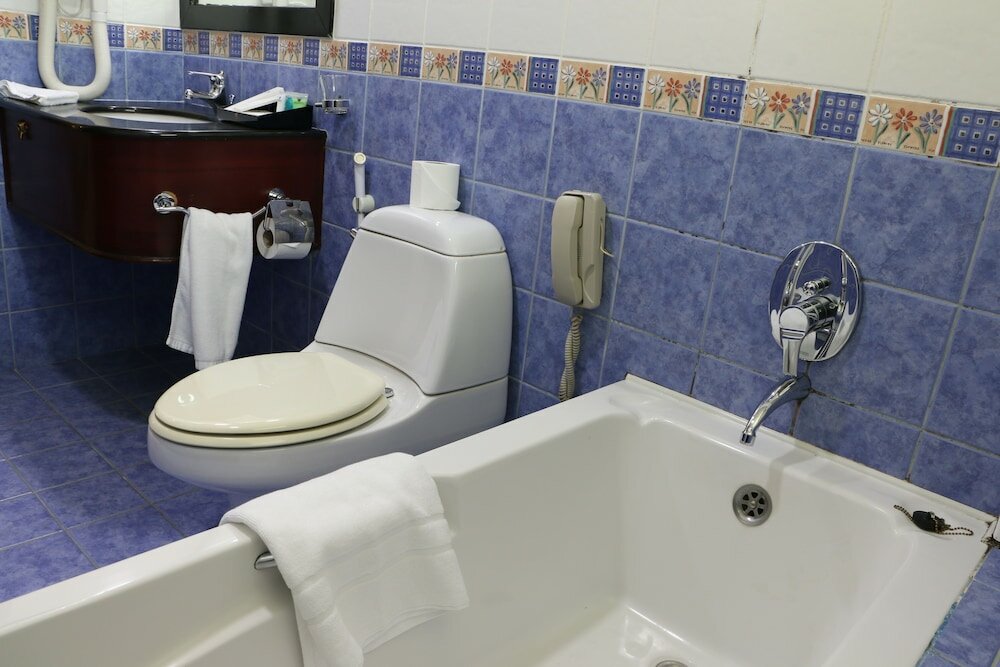 Фото Pars International Hotel