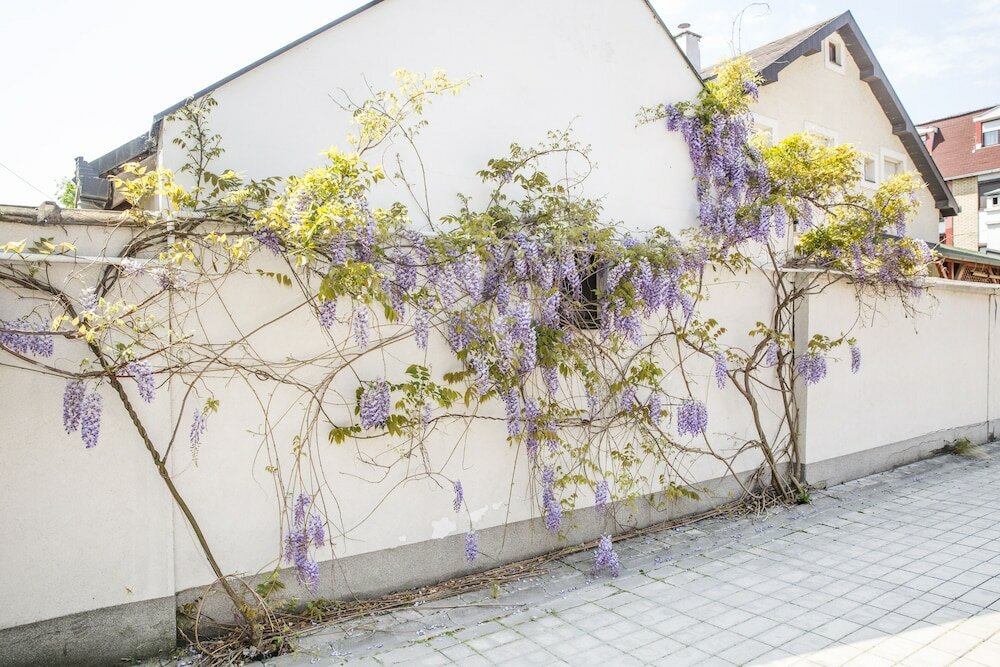 Фото Boutique Hotel Arta