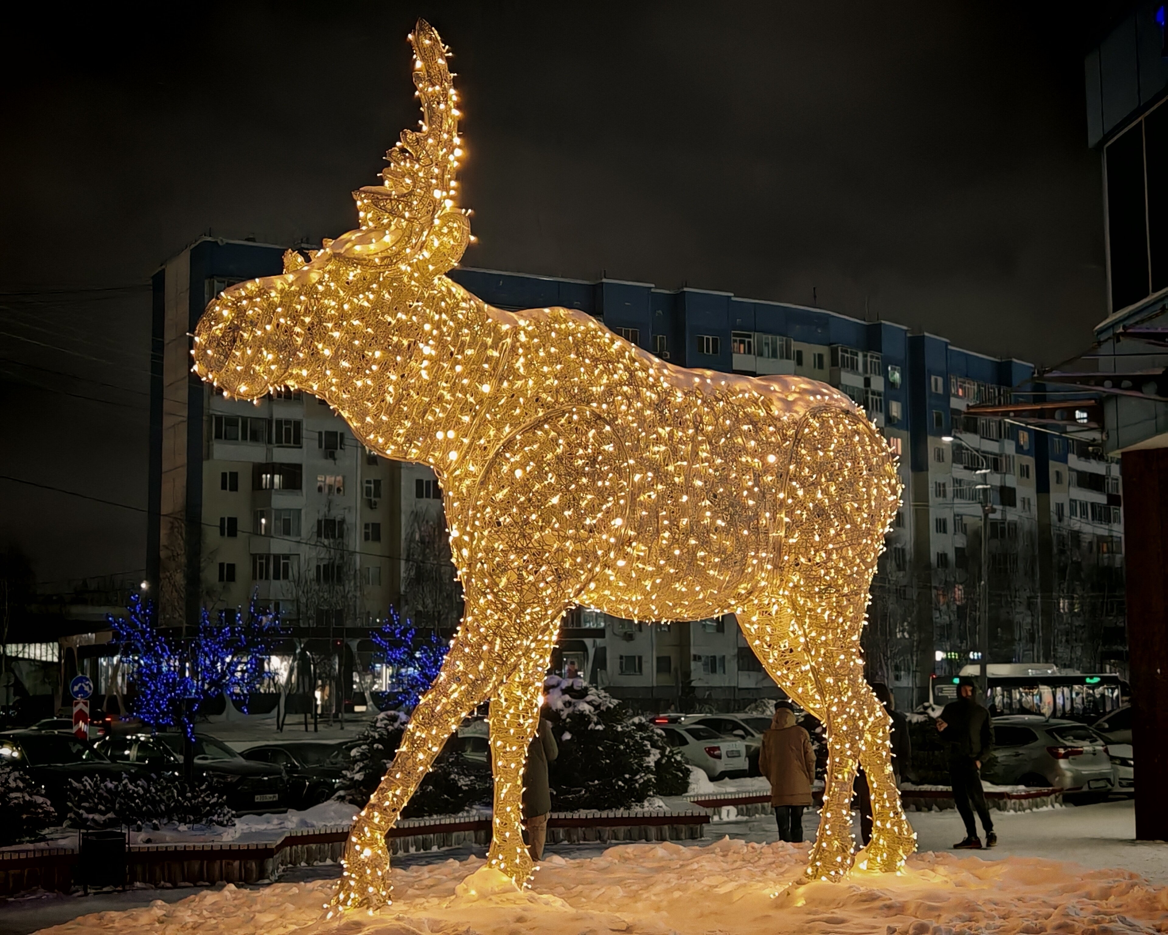 Фото City Park Hotel