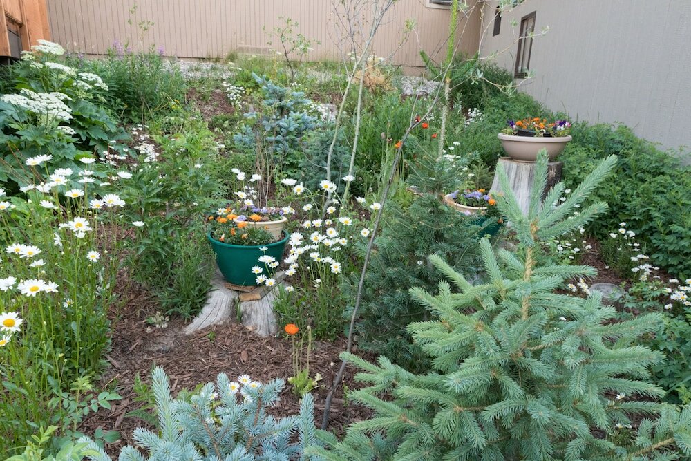 Фото Valley Hi Motel - Near Winter Park Visitor Center