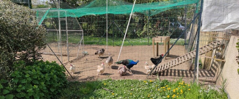 Фото Hotel Kyriad Mulhouse Est - Lutterbach