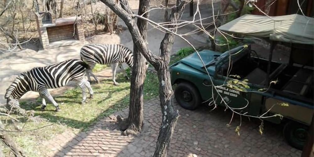 Фото Jabula Lodge