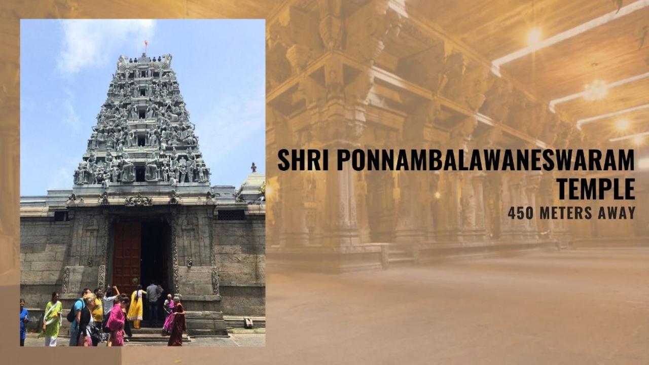 Фото Saasha City Hotel