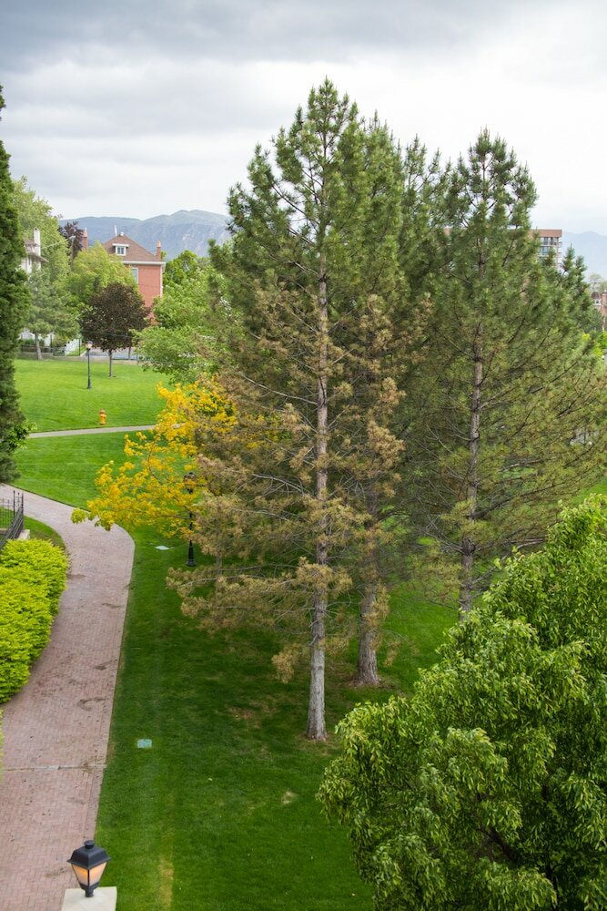 Фото The Kimball at Temple Square