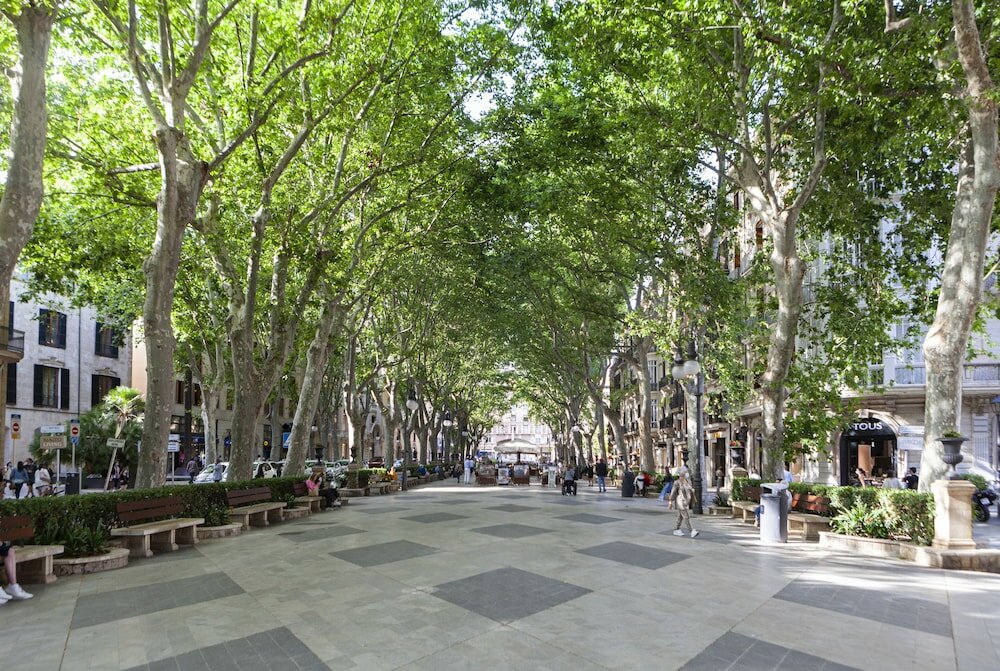 Фото Nivia Born Boutique Hotel