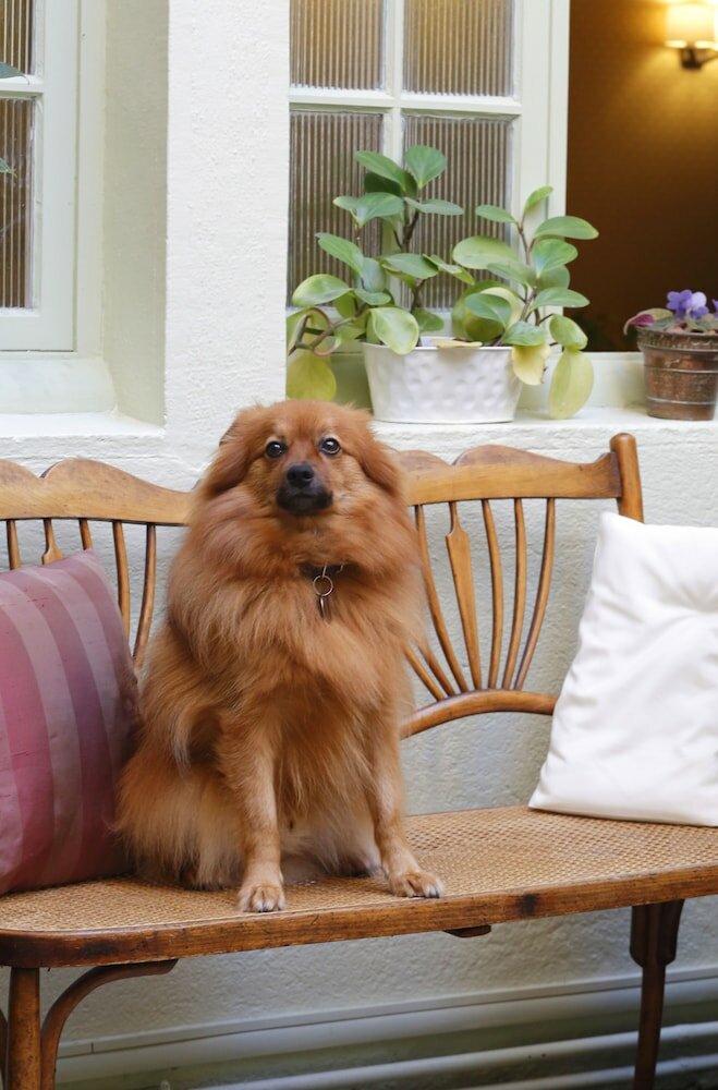 Фото The Originals Boutique, Hostellerie des Trois Pigeons