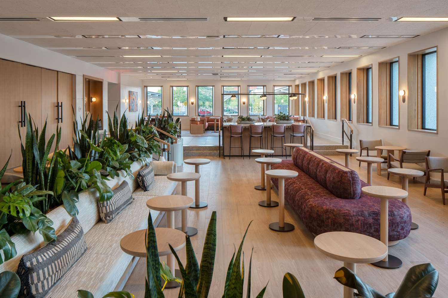 Фото Hotel Marcel New Haven, Tapestry Collection by Hilton