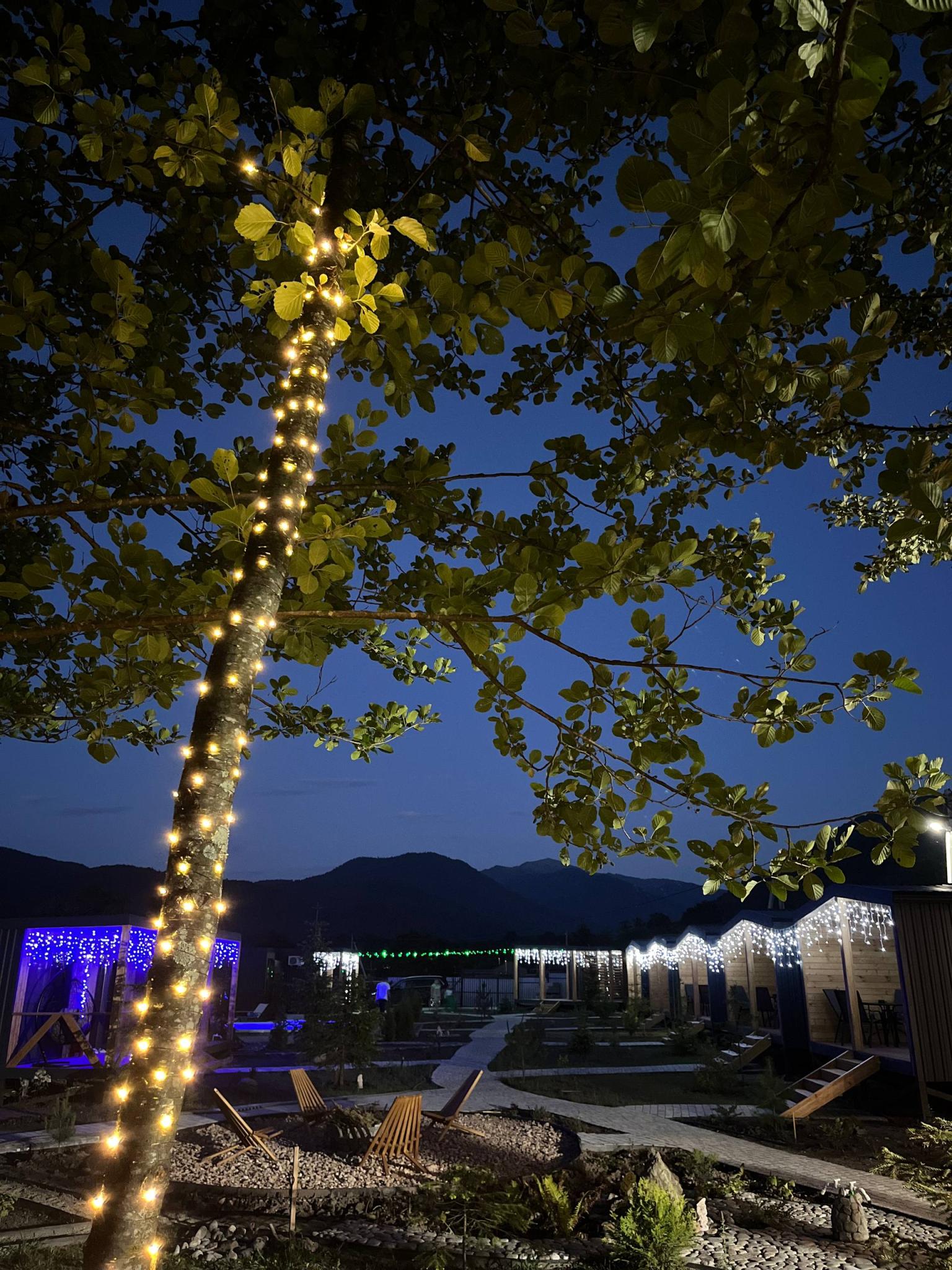 Фото Василиса Хаус