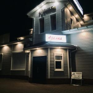 Фото Азалия