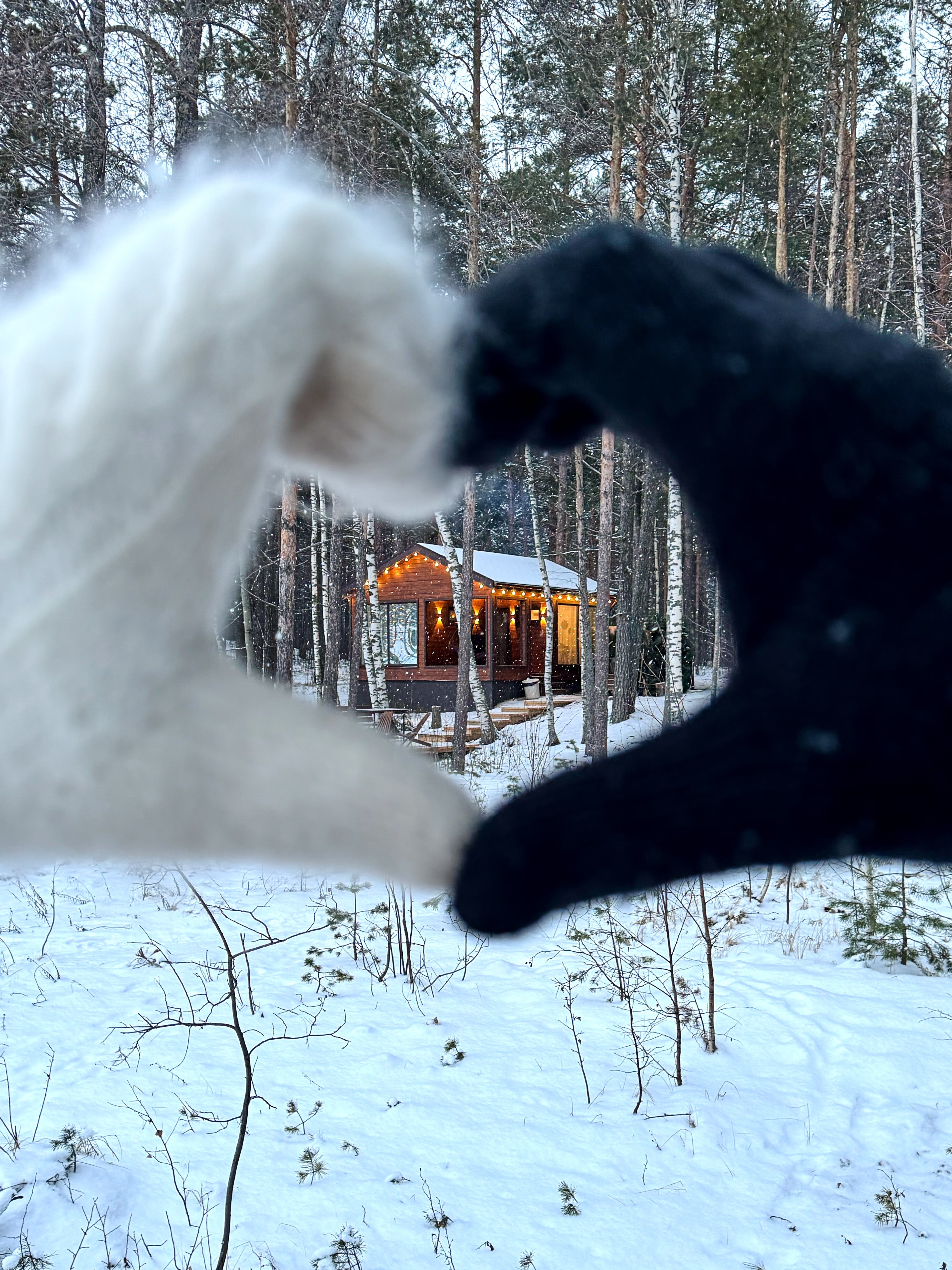 Фото Глэмпинг Мыс