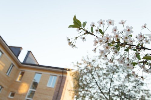 Гостиница Вишневый сад в Тверской области