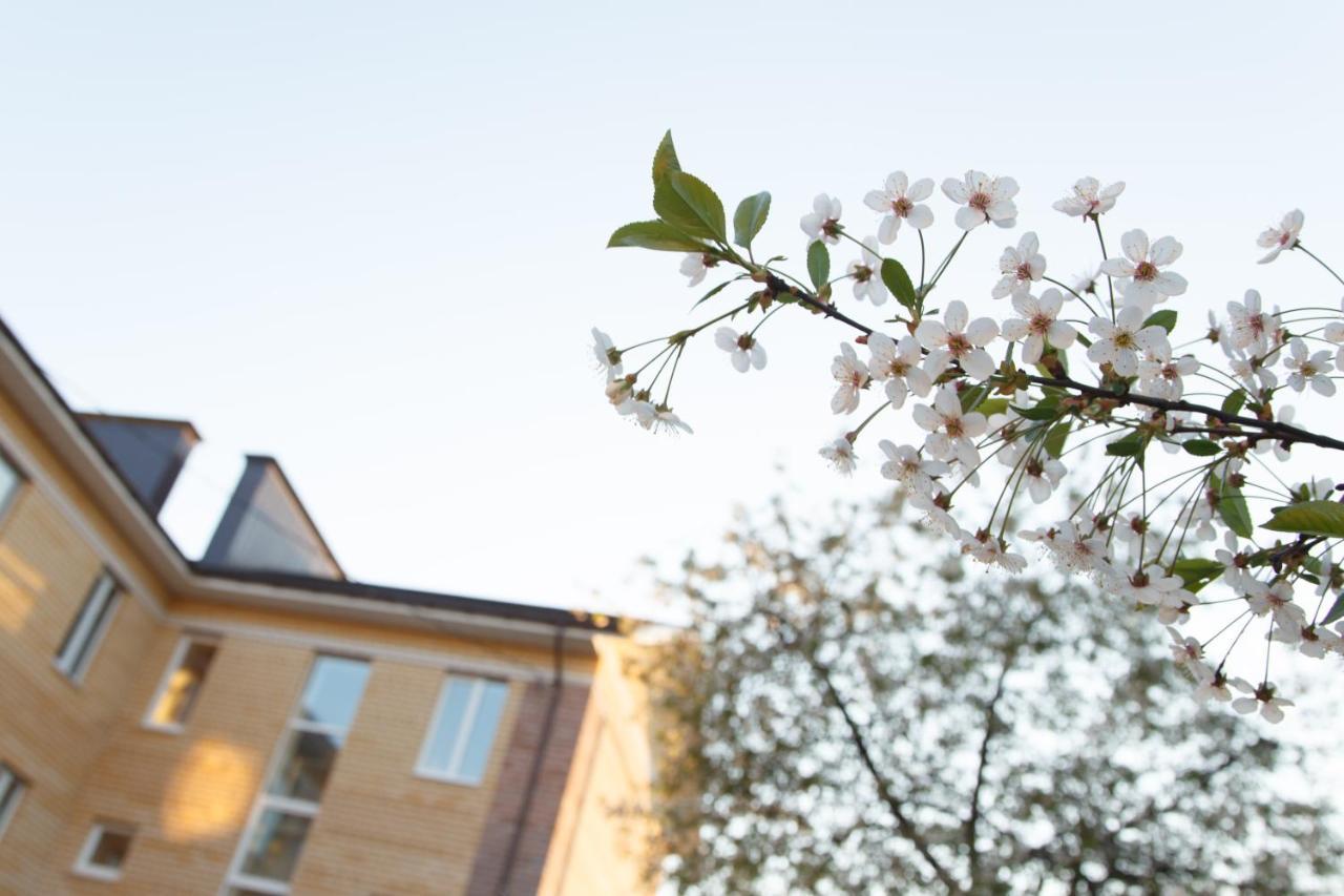 Фото Вишневый сад