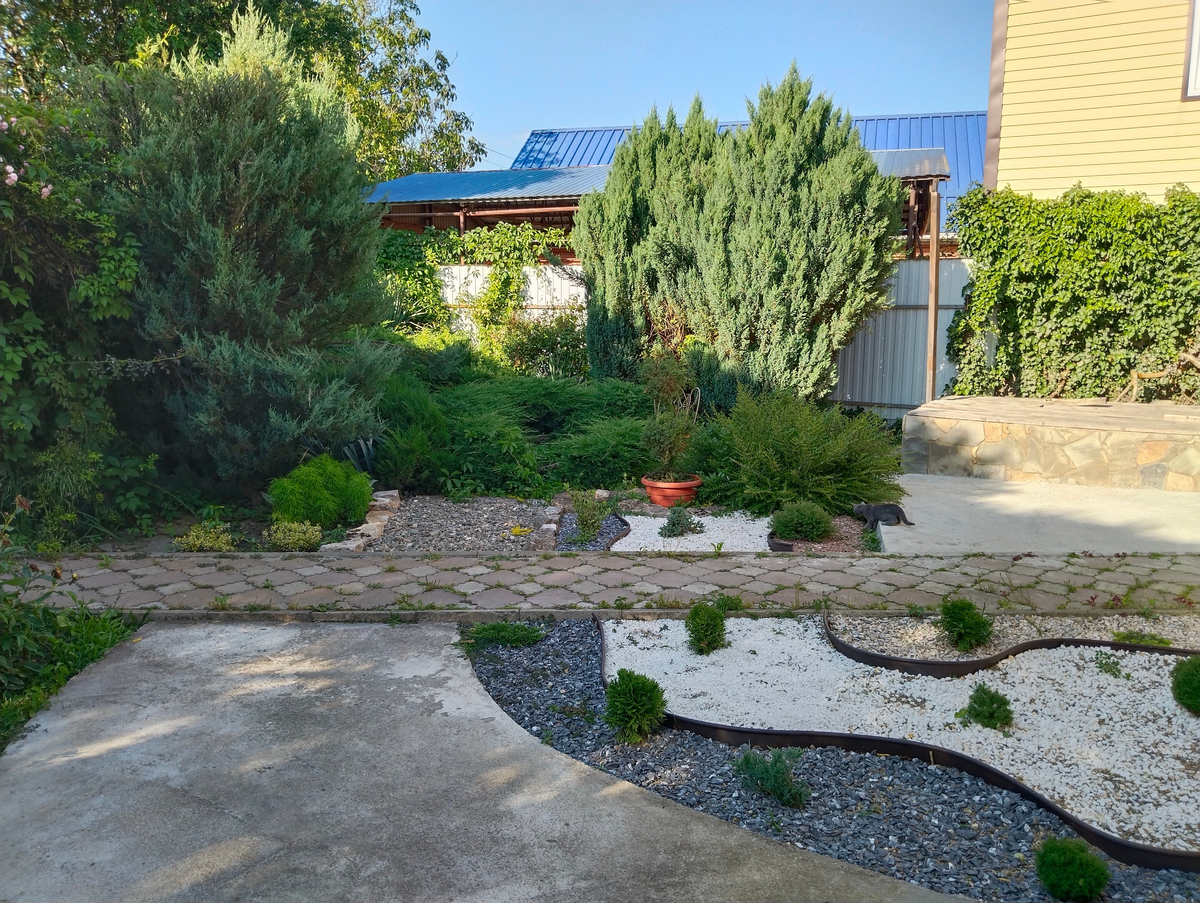 Фото Хвойный дворик