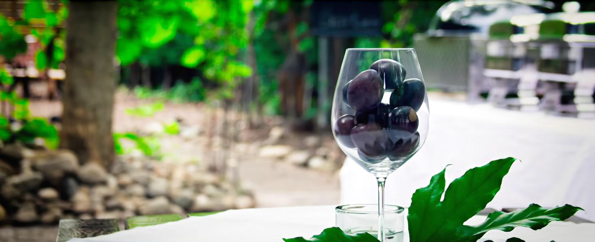 Фото Hotel Brößler